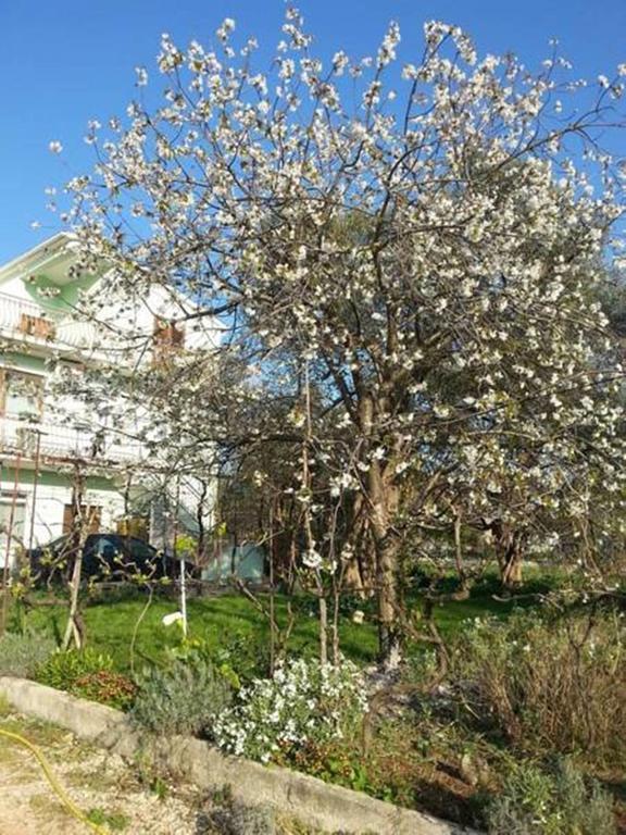 Apartmani Tereza Бибинье Экстерьер фото